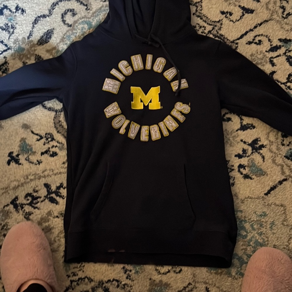Large Michigan hoodie